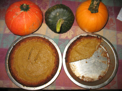 Fall Recipe: Gluten-Free Pumpkin Pie With Coconut Crust Image